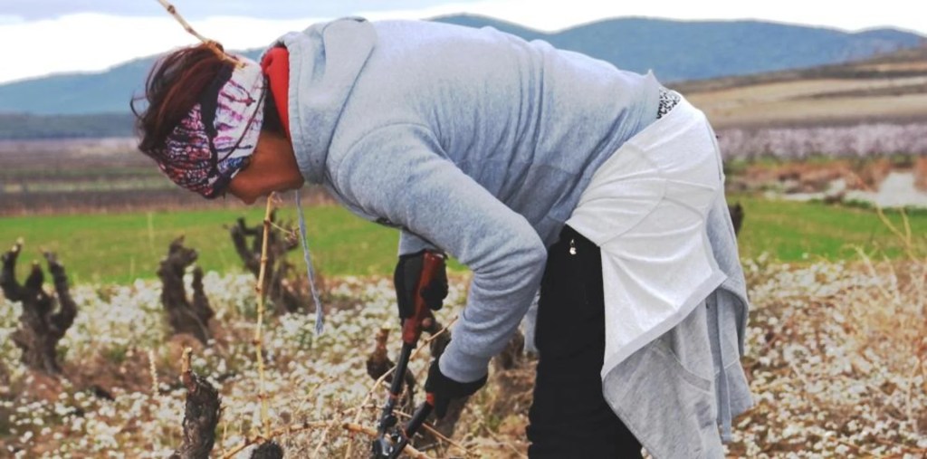 Un nuevo libro recoge la «revolución silenciosa» por la igualdad de las mujeres&nbsp;rurales